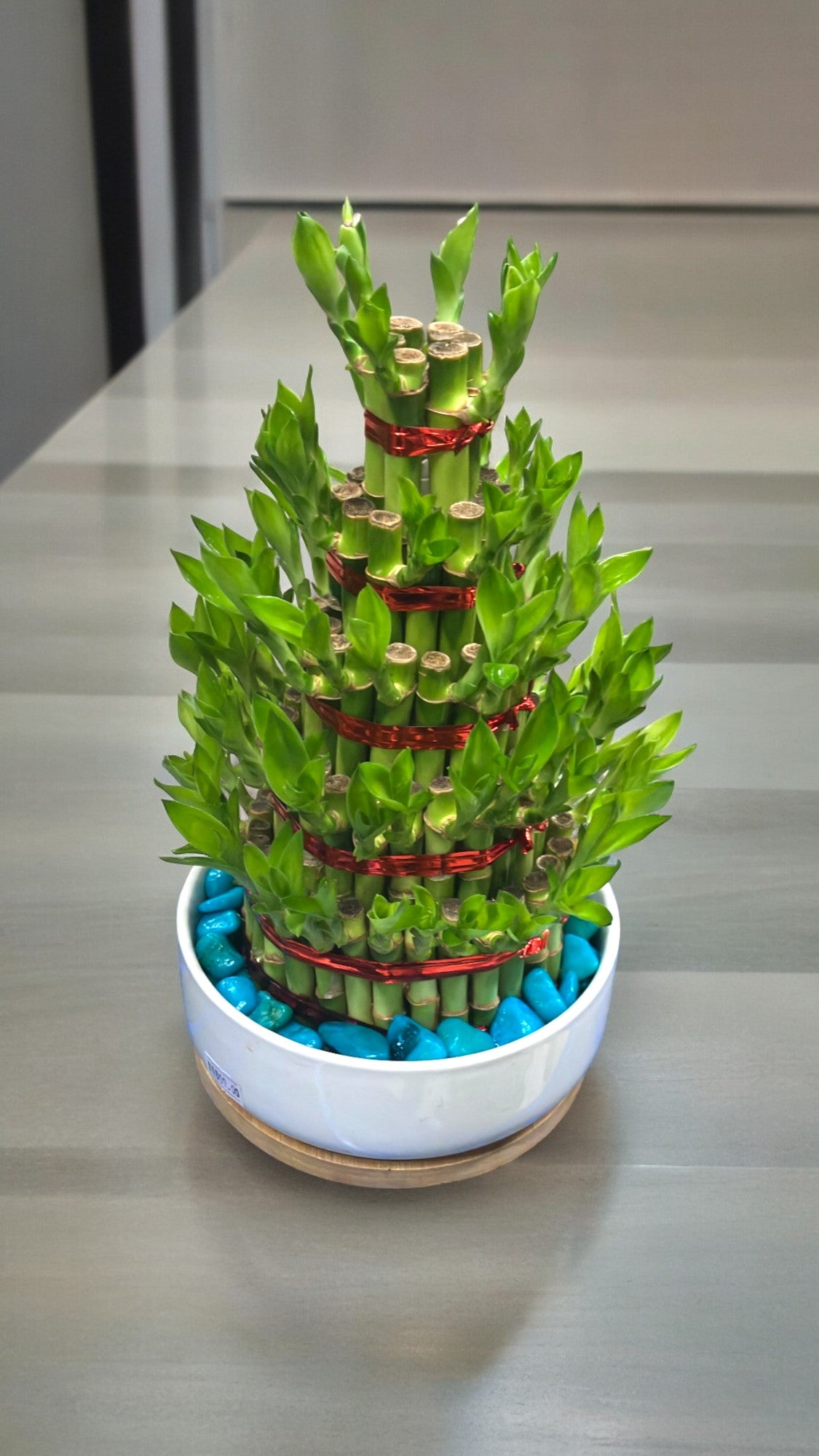 5 Layer Lucky Bamboo