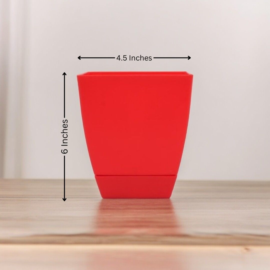 Square Shape Pot (Plastic)