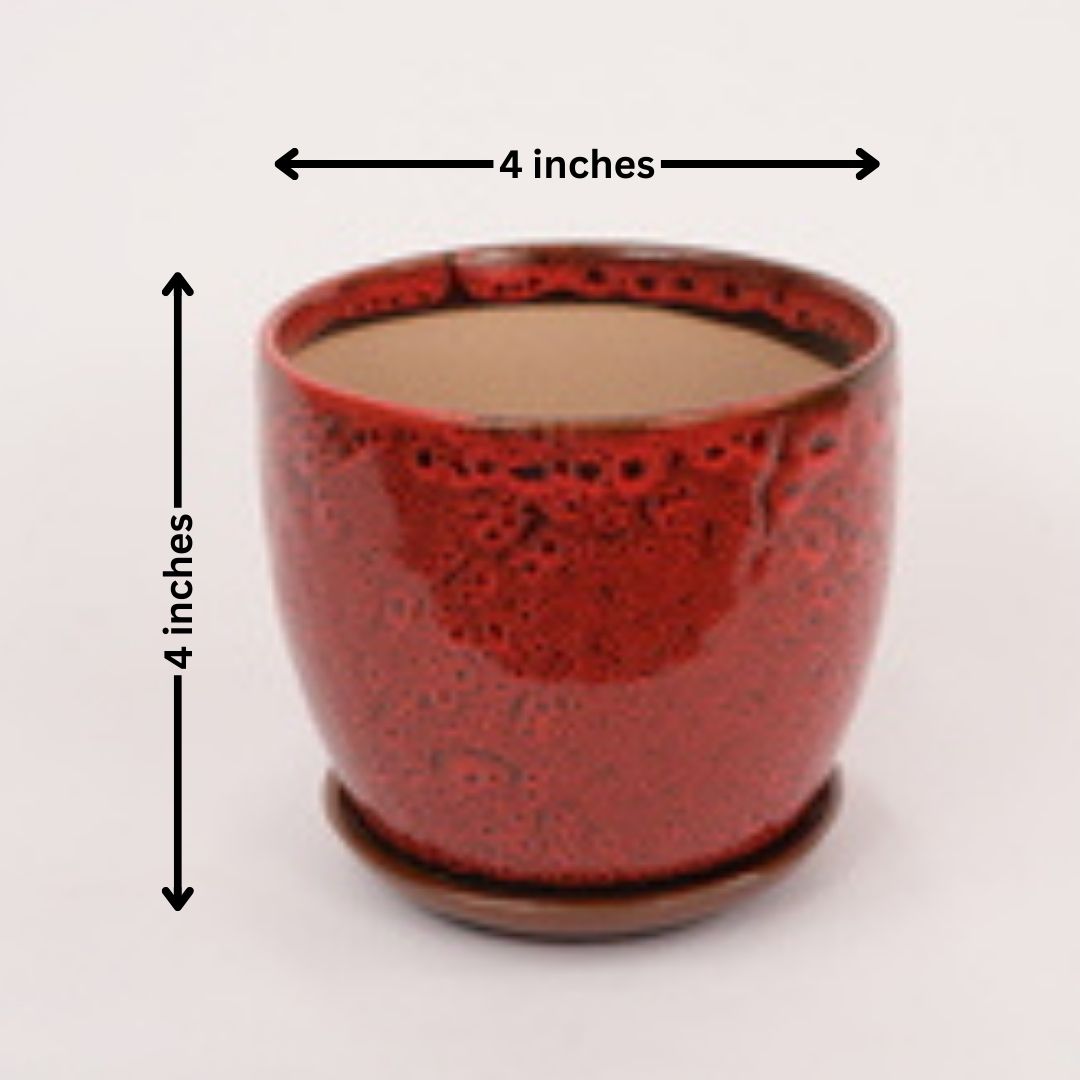 Design Pot with Tray