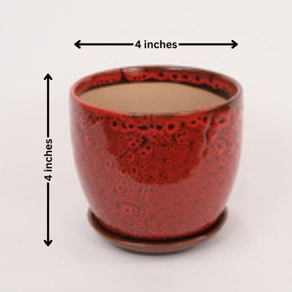 Design Pot with Tray