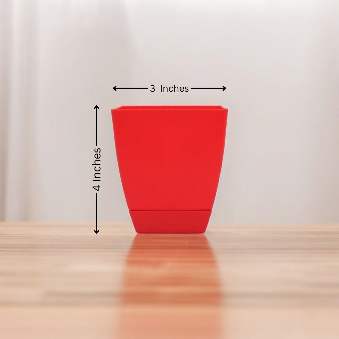 Square Shape Pot ( Plastic )