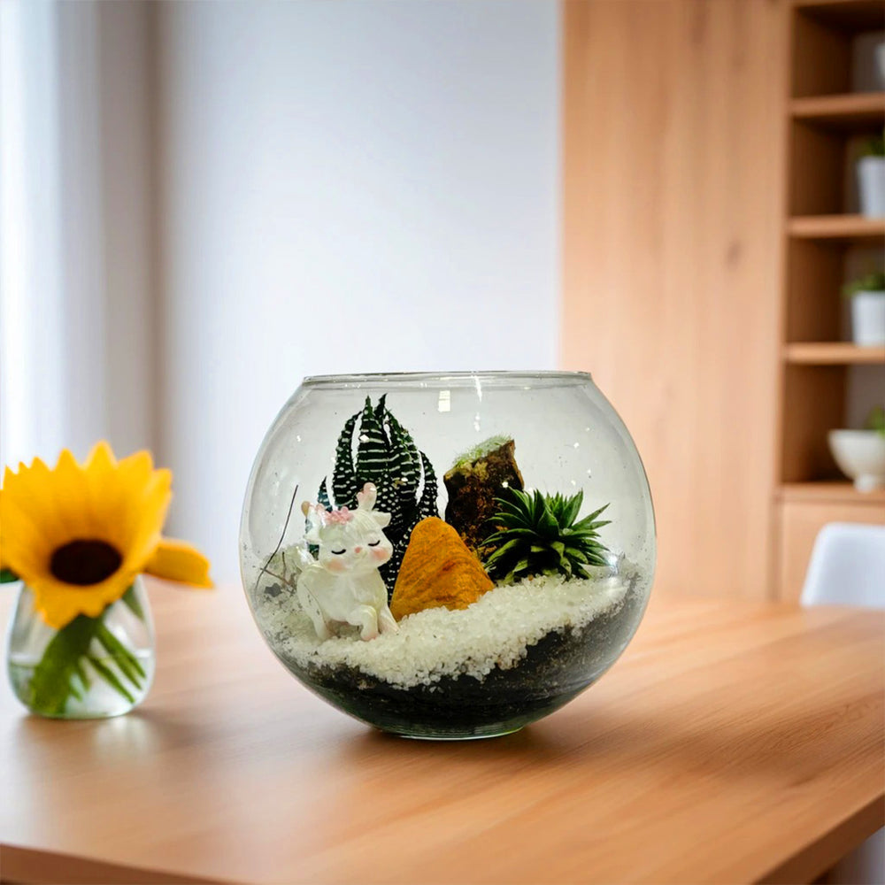 designer plants terrarium