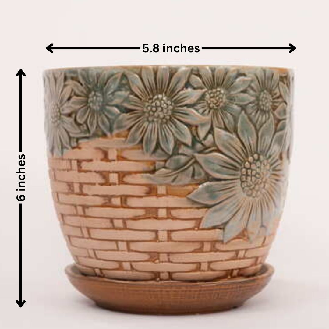 Design Pot with Tray