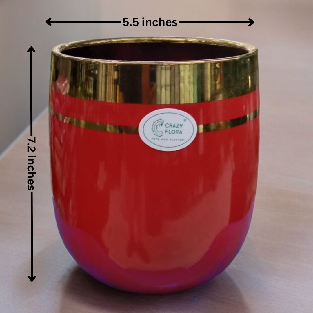 Cylindrical Shaped Ceramic Planter