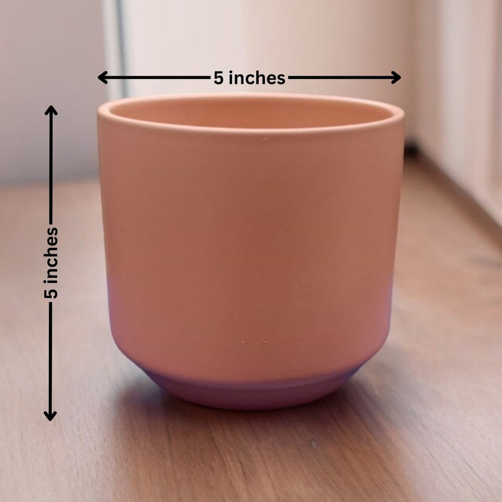Cylindrical Shaped Planter with Round Edge