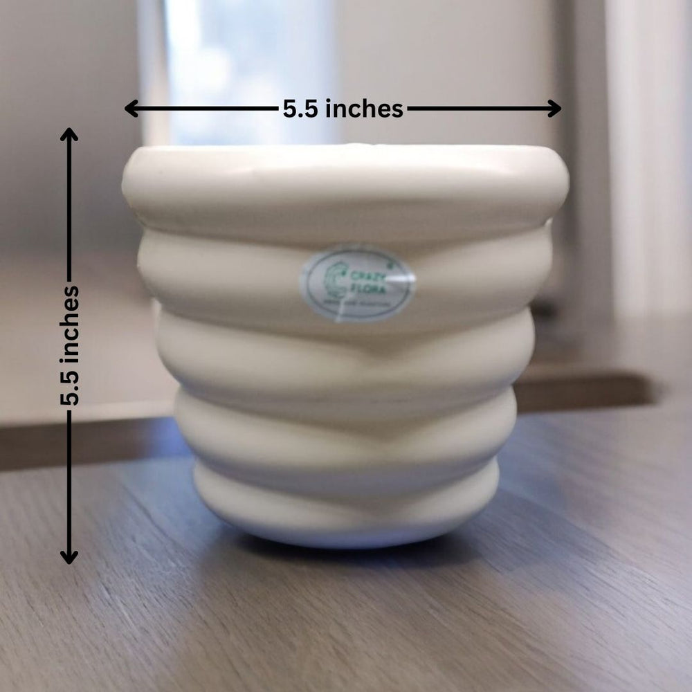 Circular-Shaped Design Planter