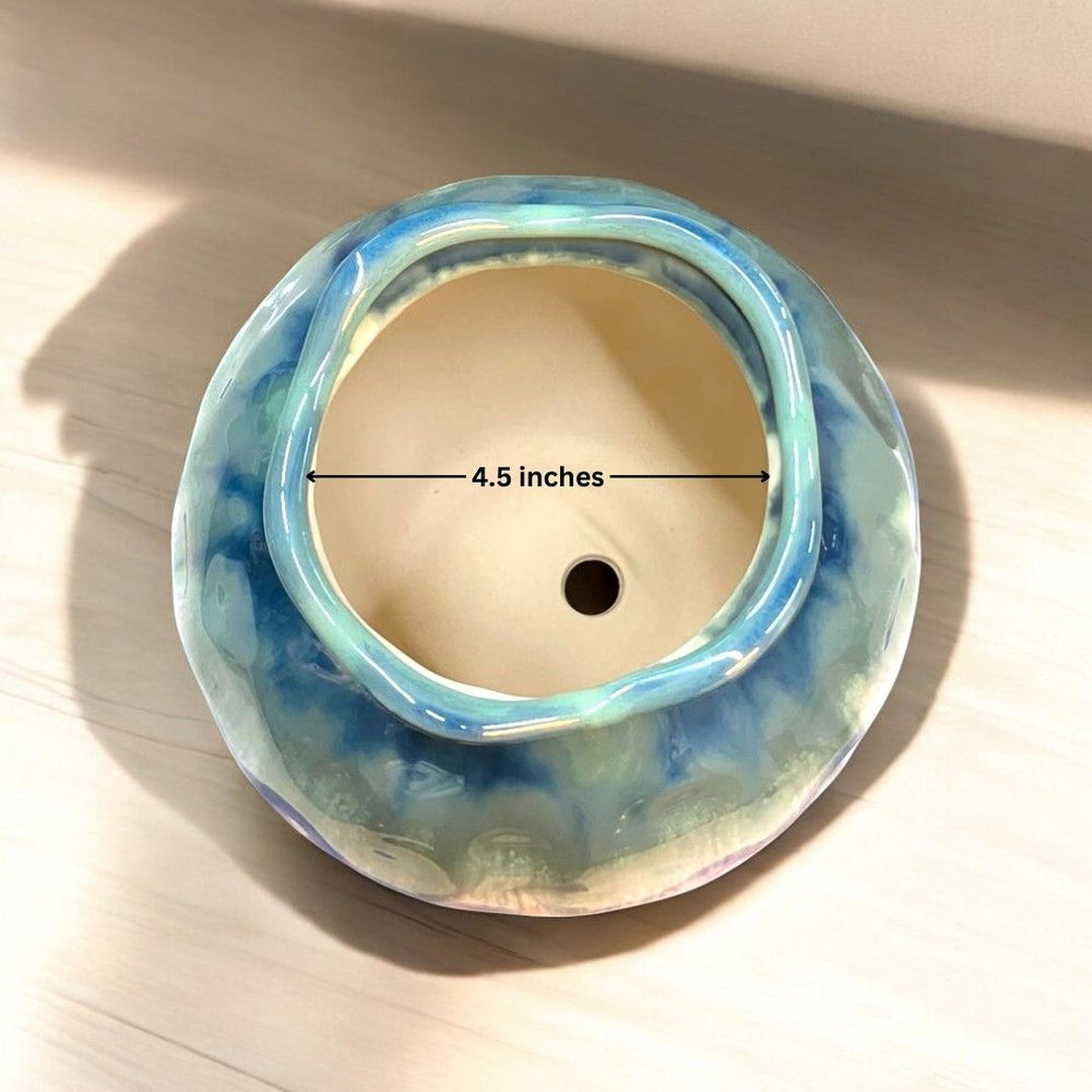 Designer planter with color shade
