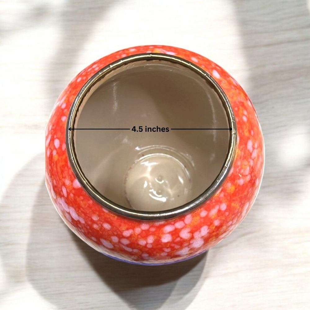 Designer Ceramic Planter