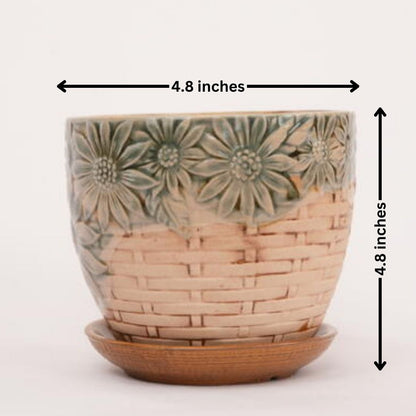 Design Pot with Tray