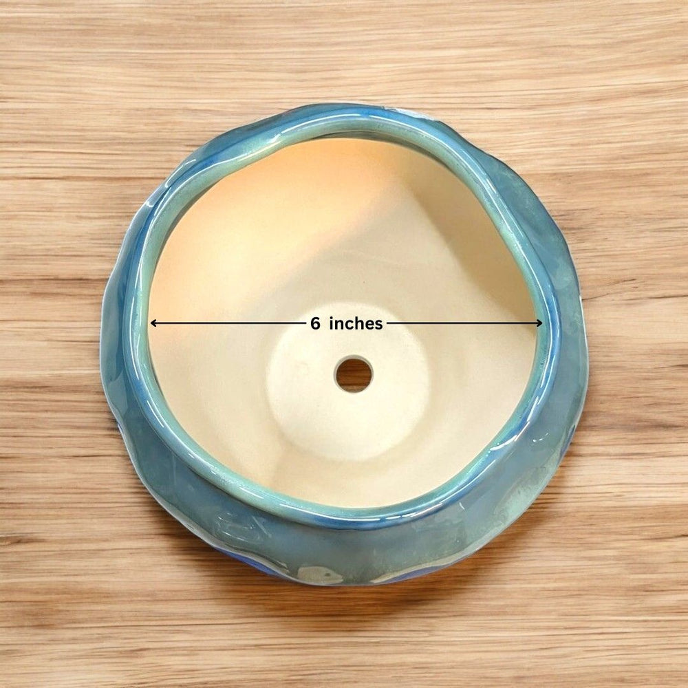 Designer planter with color shade