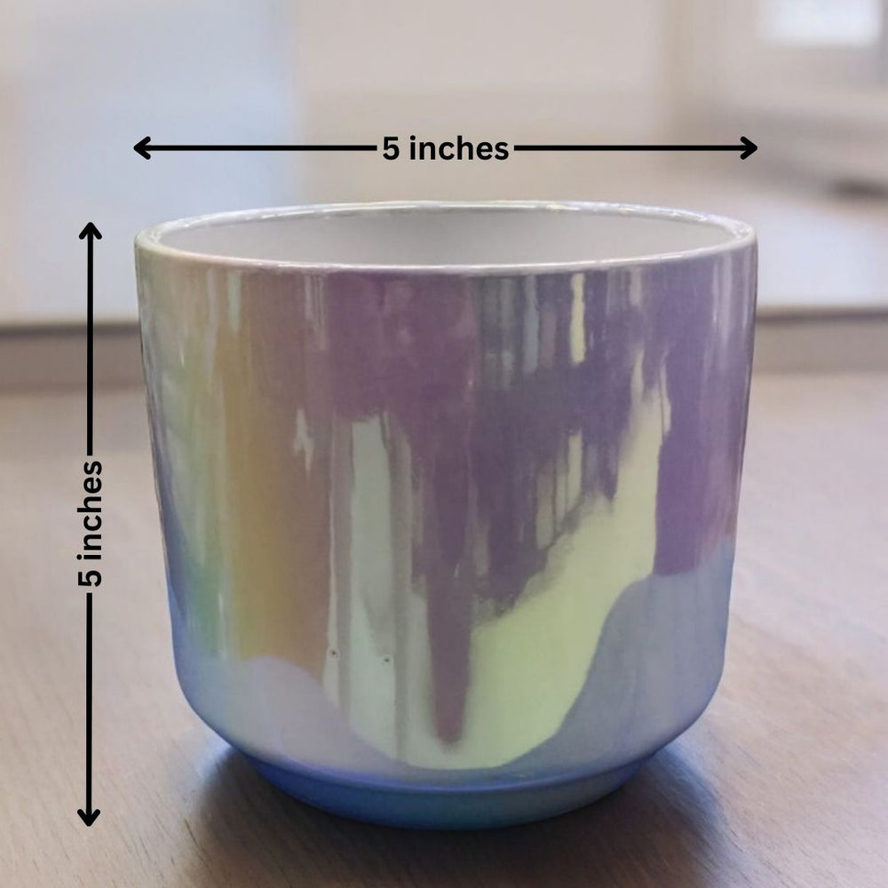 Cylindrical Shaped Planter with Round Edge