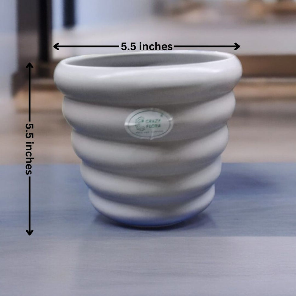 Circular-Shaped Design Planter