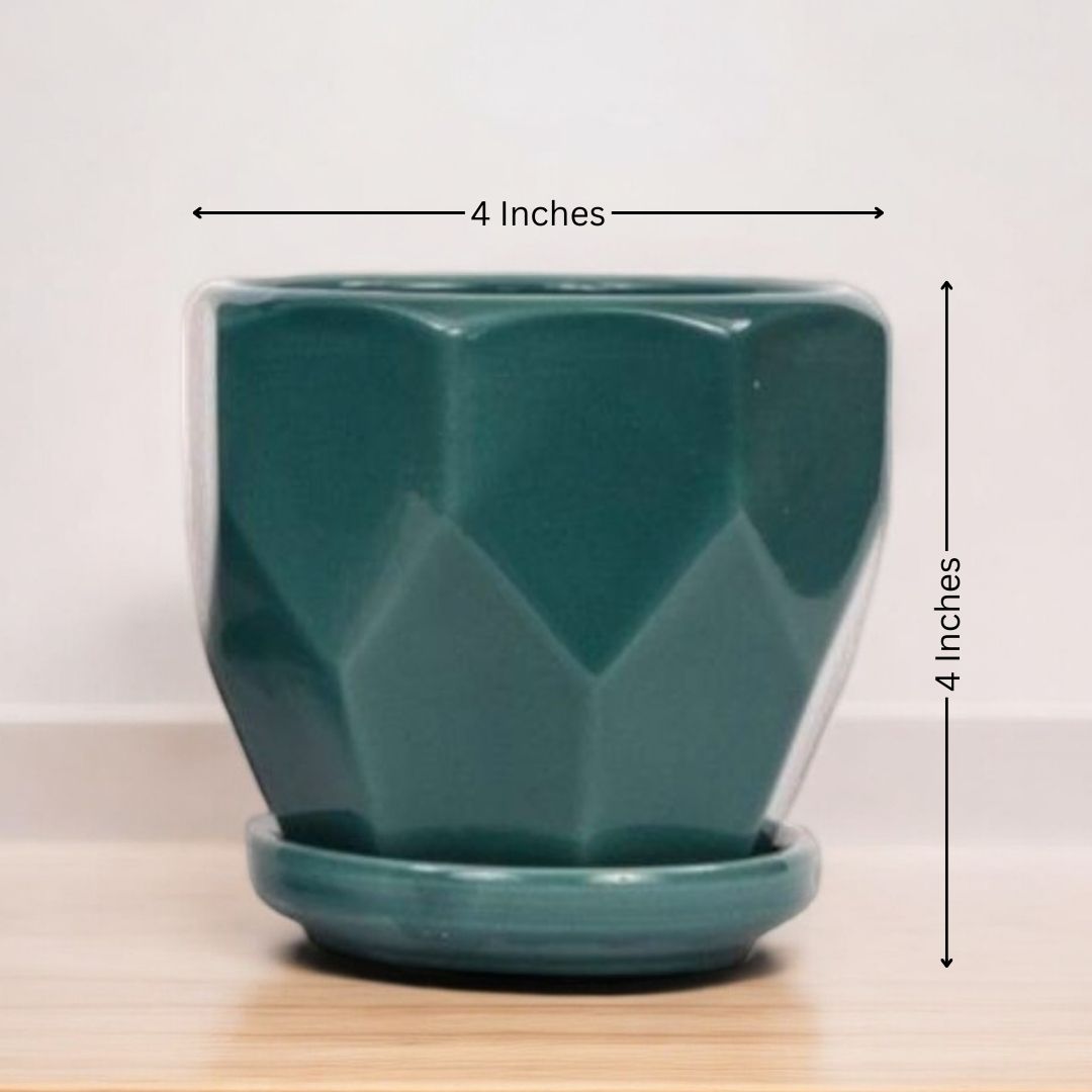 Diamond Pot With Tray