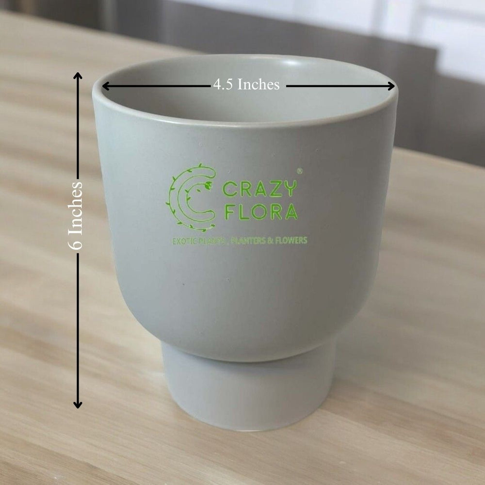 Cylinder Shape Planter