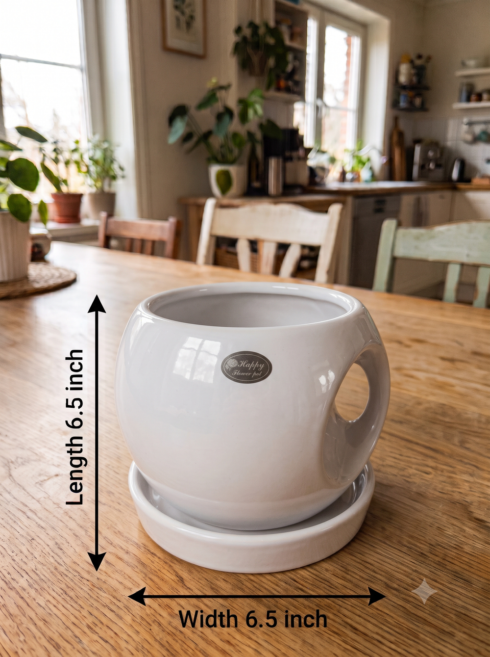 Round Handle Planter - Large in White