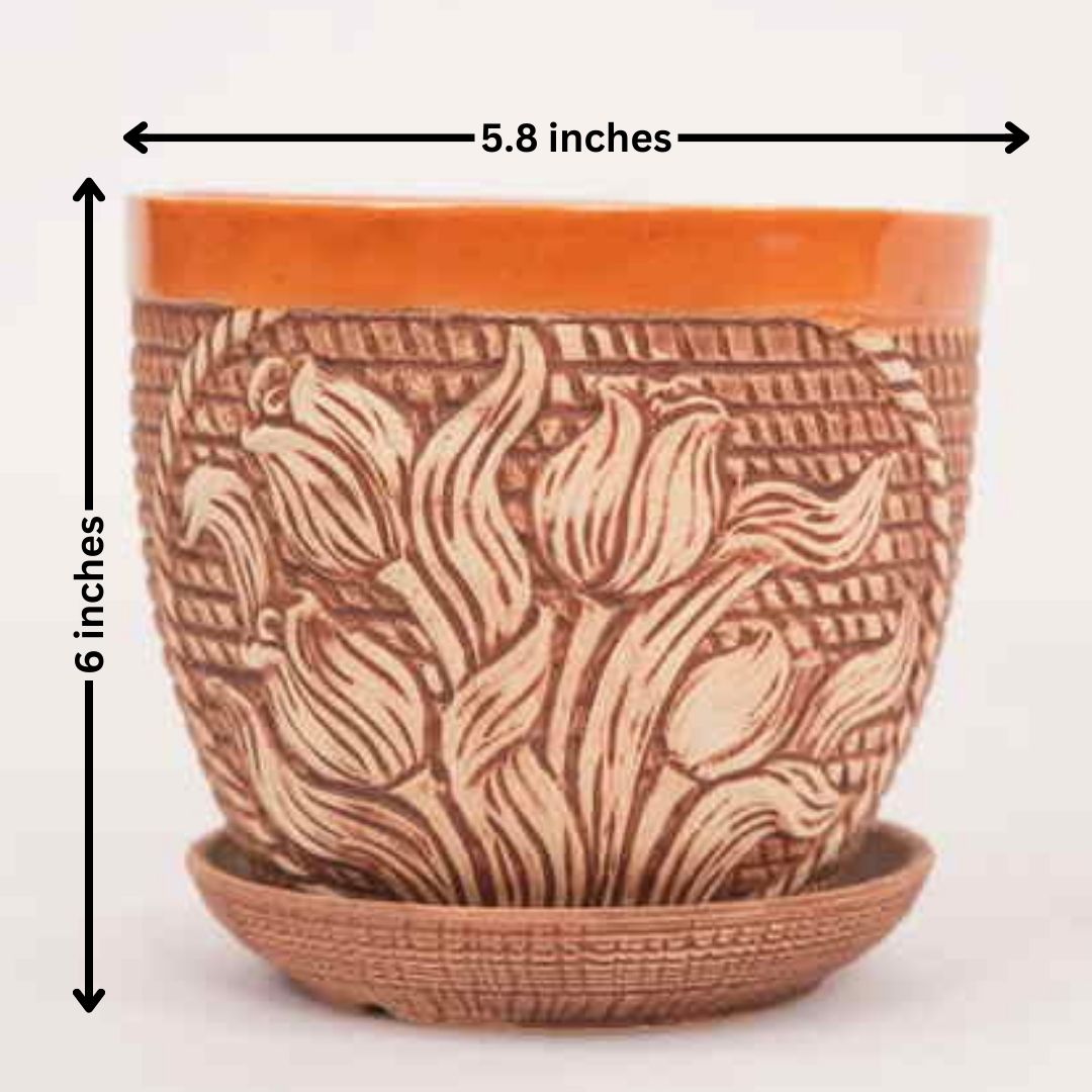 Design Pot with Tray