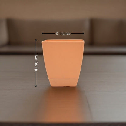 Square Shape Pot ( Plastic )