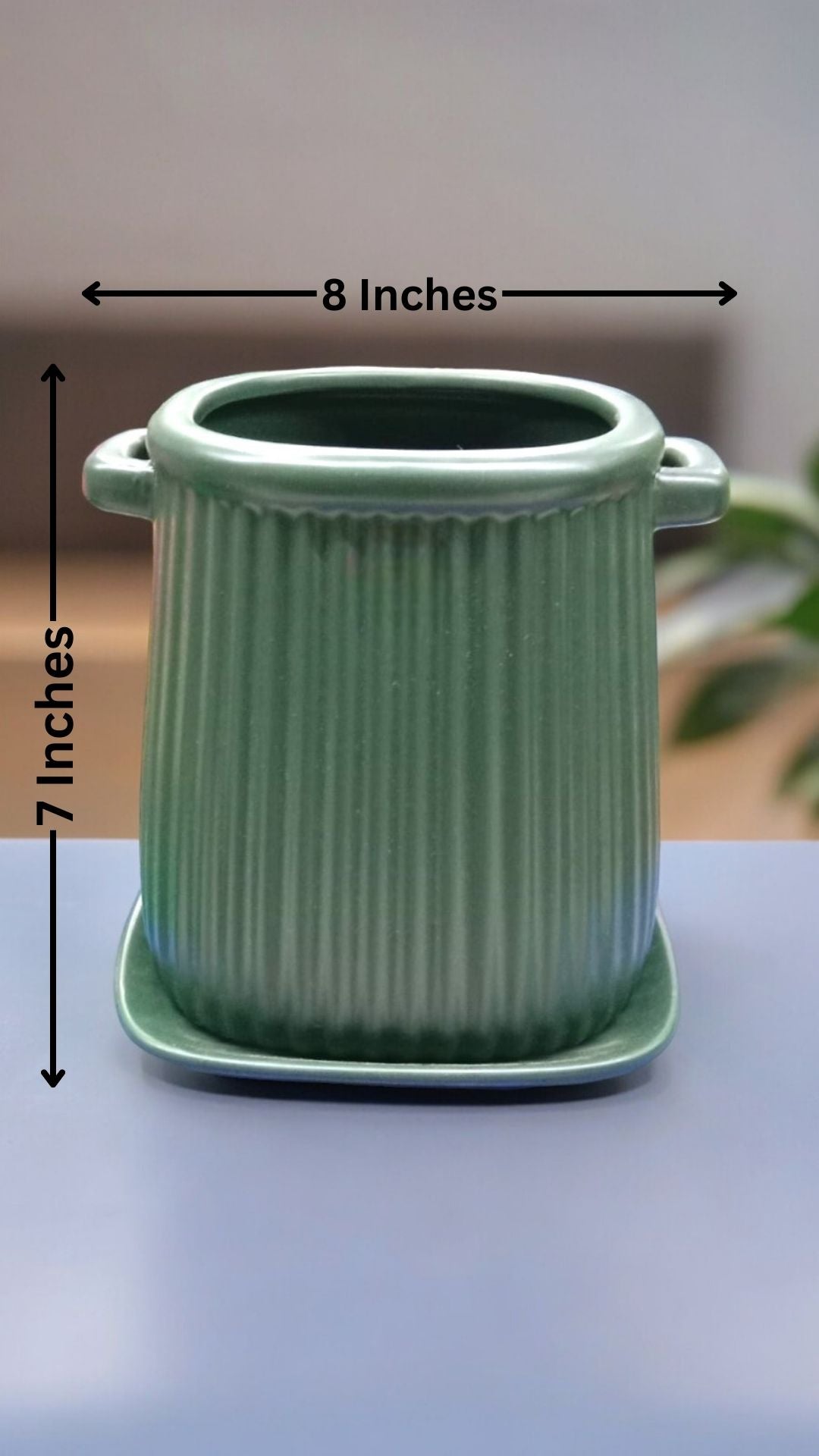 Ceramic Handle Pot with Tray