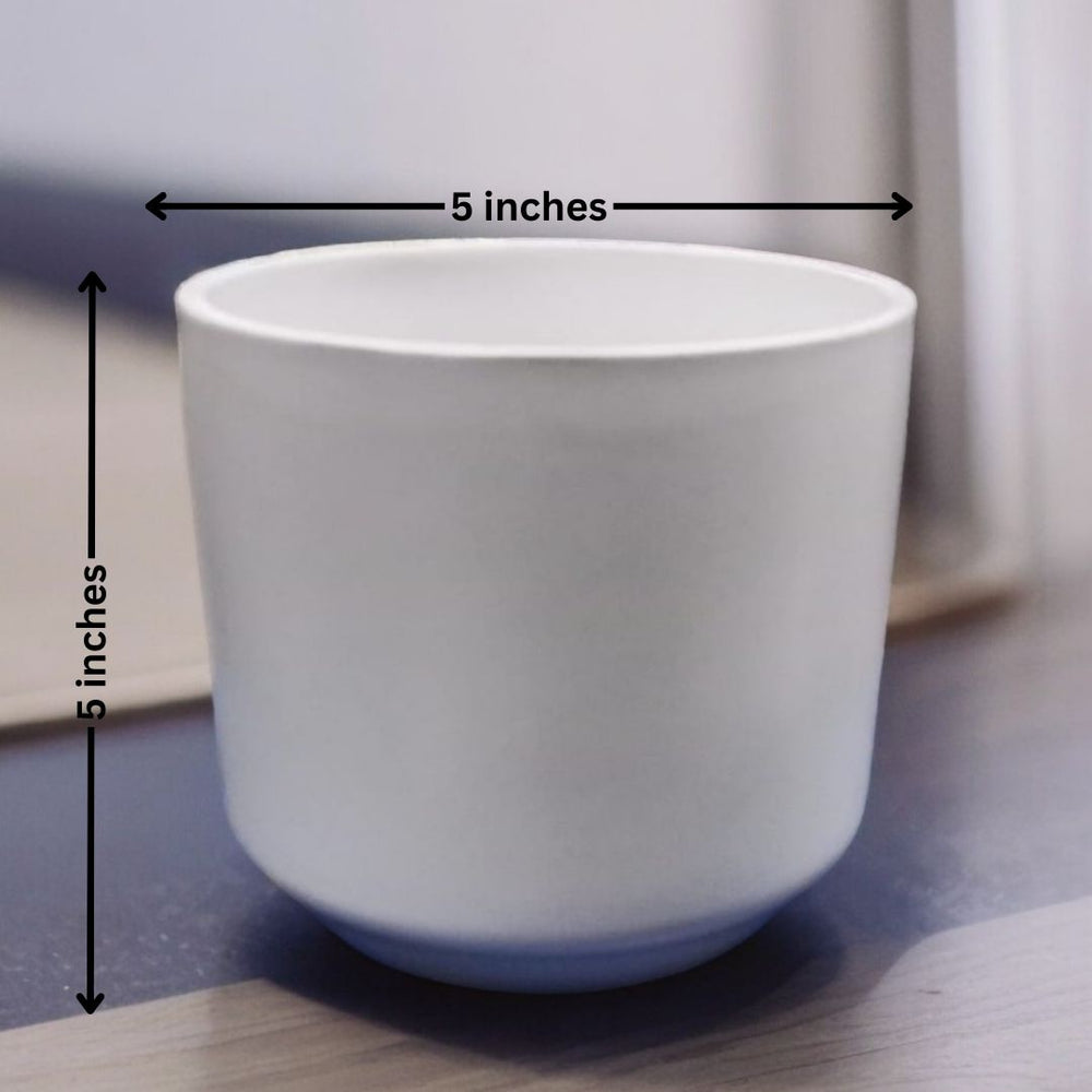 Cylindrical Shaped Planter with Round Edge