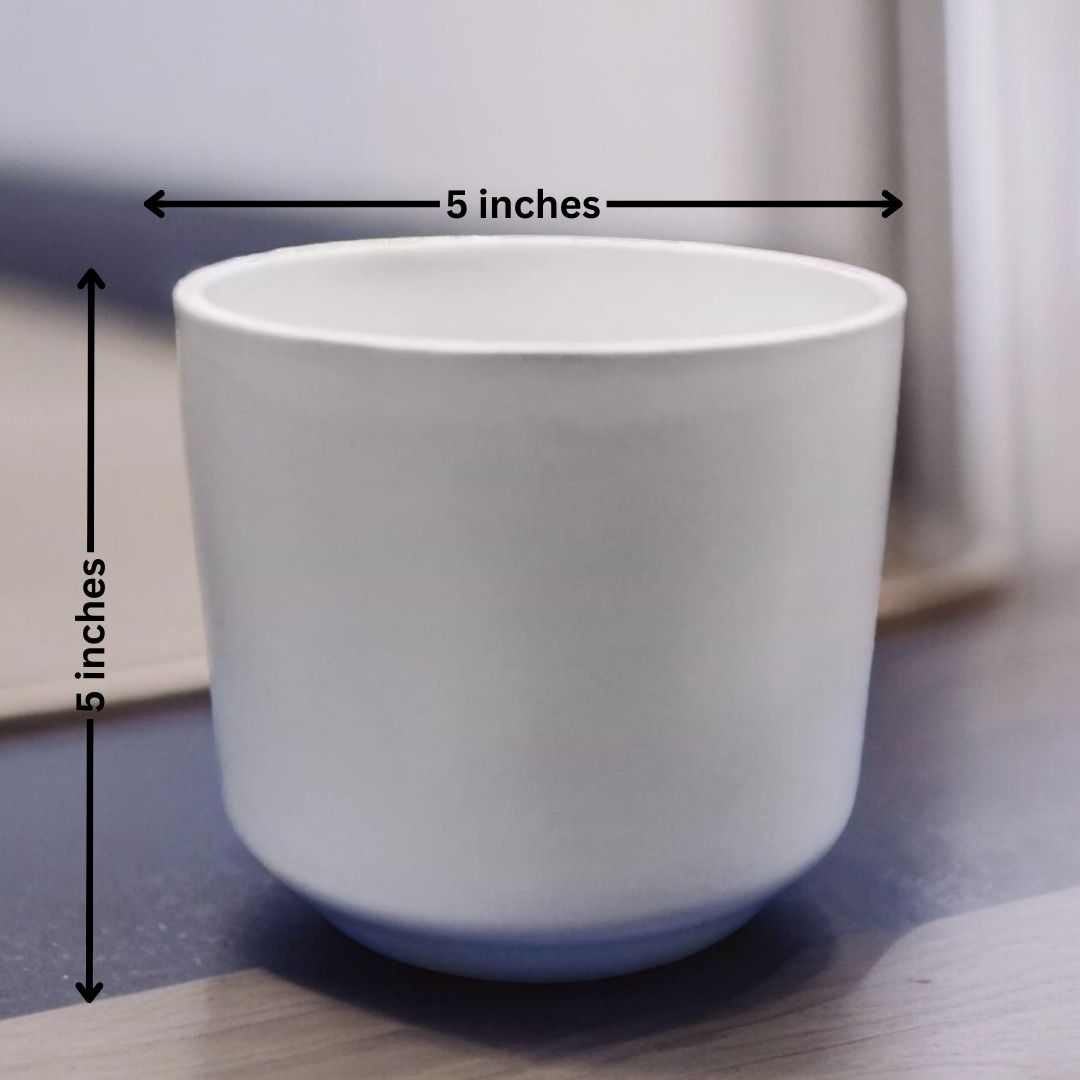 Cylindrical Shaped Planter with Round Edge
