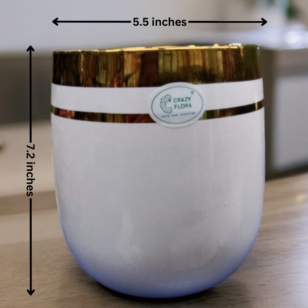 Cylindrical Shaped Ceramic Planter