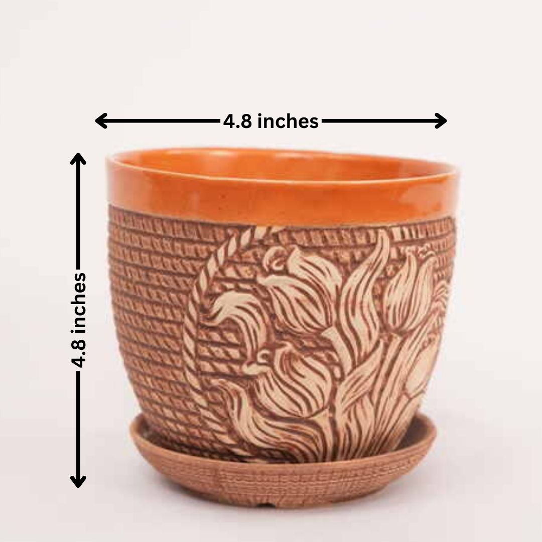 Design Pot with Tray