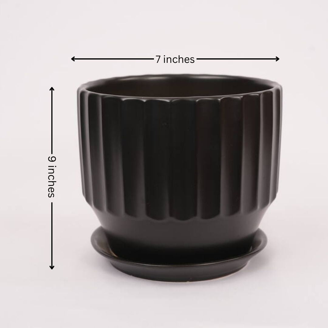 Round shape Pot (set of 3)