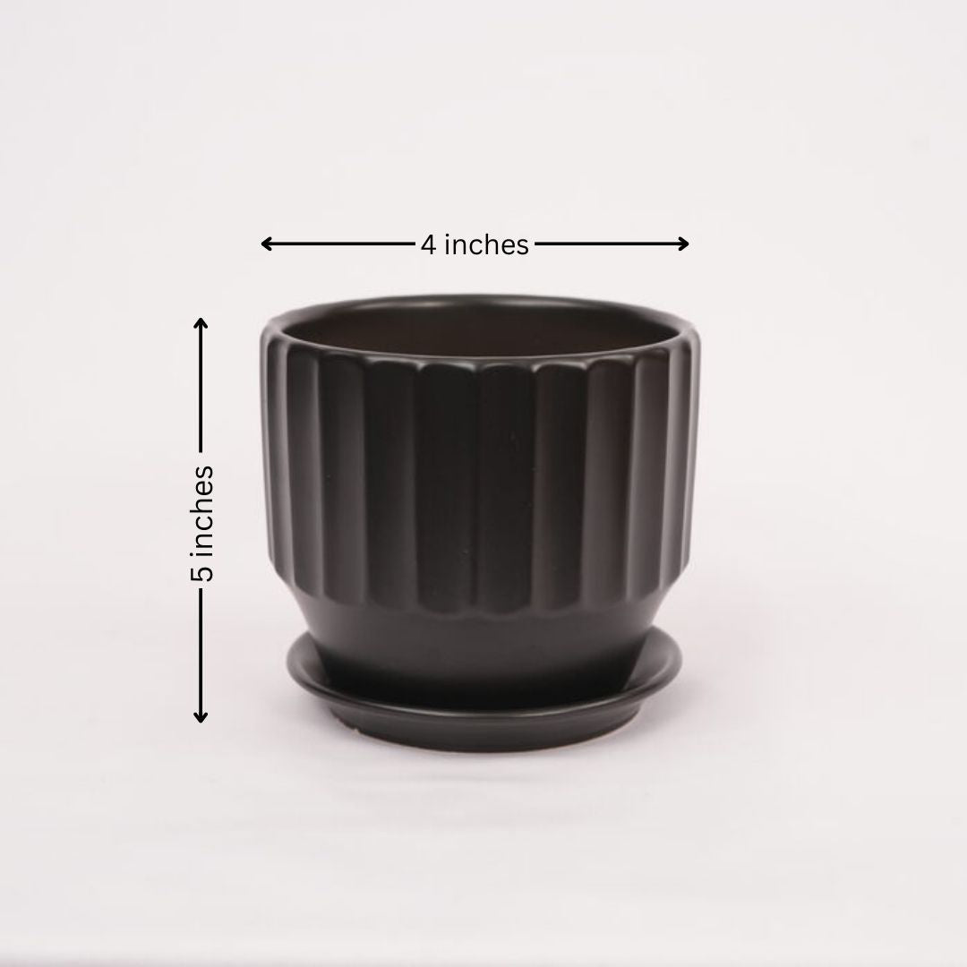 Round shape Pot (set of 3)