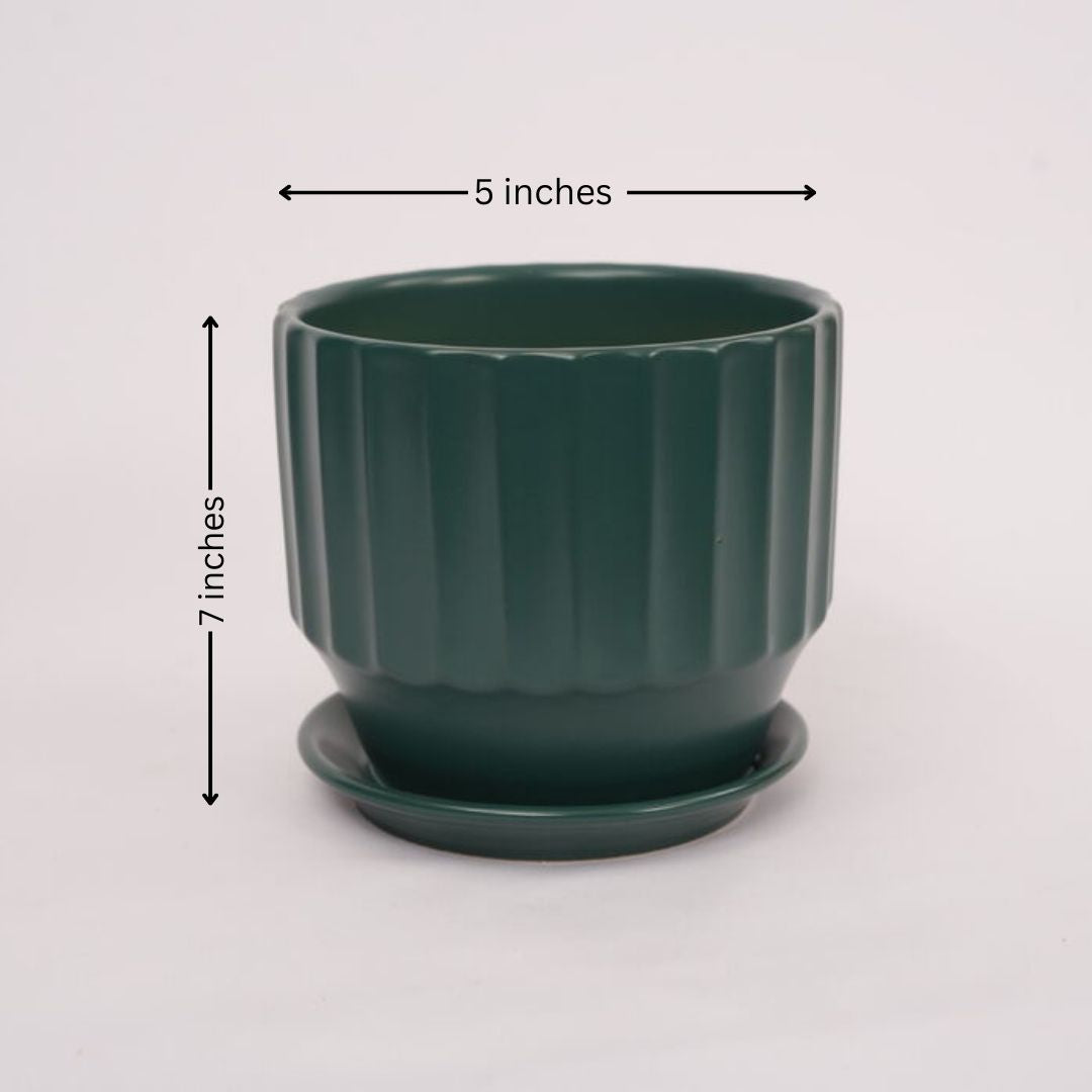 Round shape Pot (set of 3)