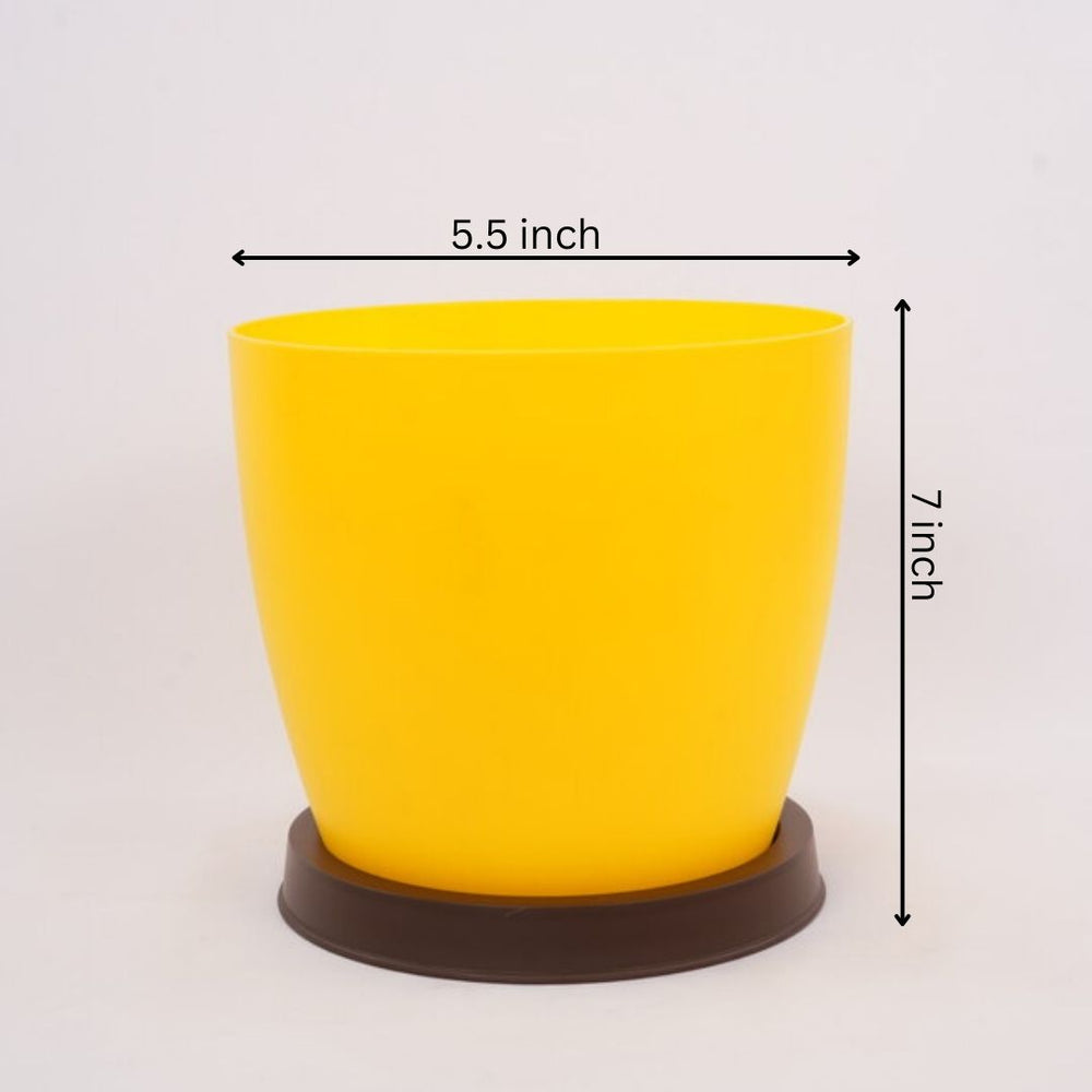 Creative Farmer Flower Pot Ronda With Tray