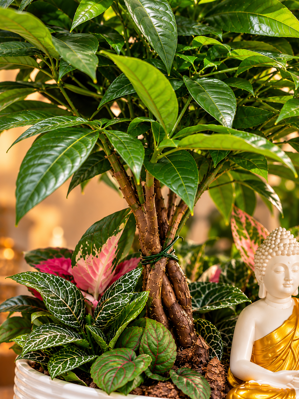 Close-up of the braided plant, mixed foliage, and meditating Buddha statuette in the ceramic planter