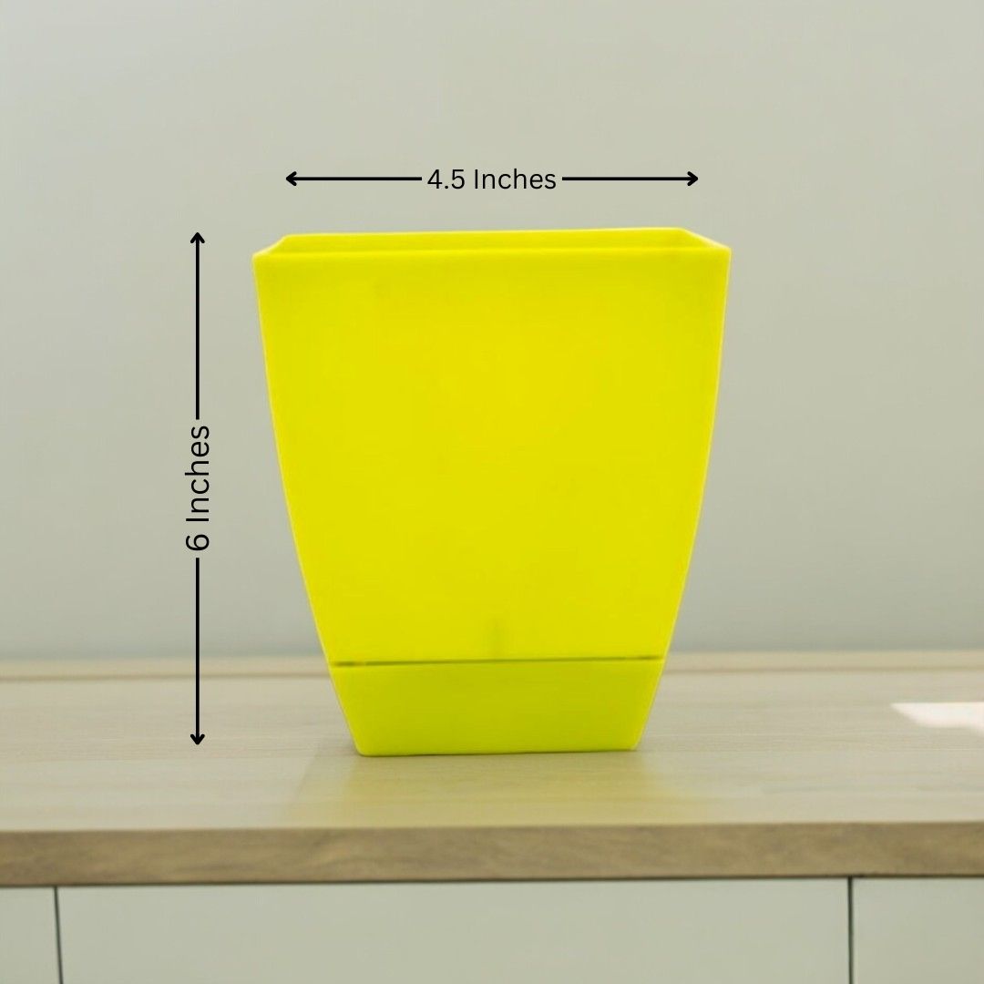 Square Shape Pot ( Plastic )