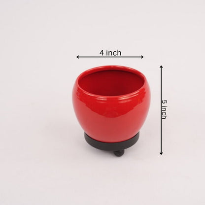 Orchid Pot with tray (Minimum 3 Piece)