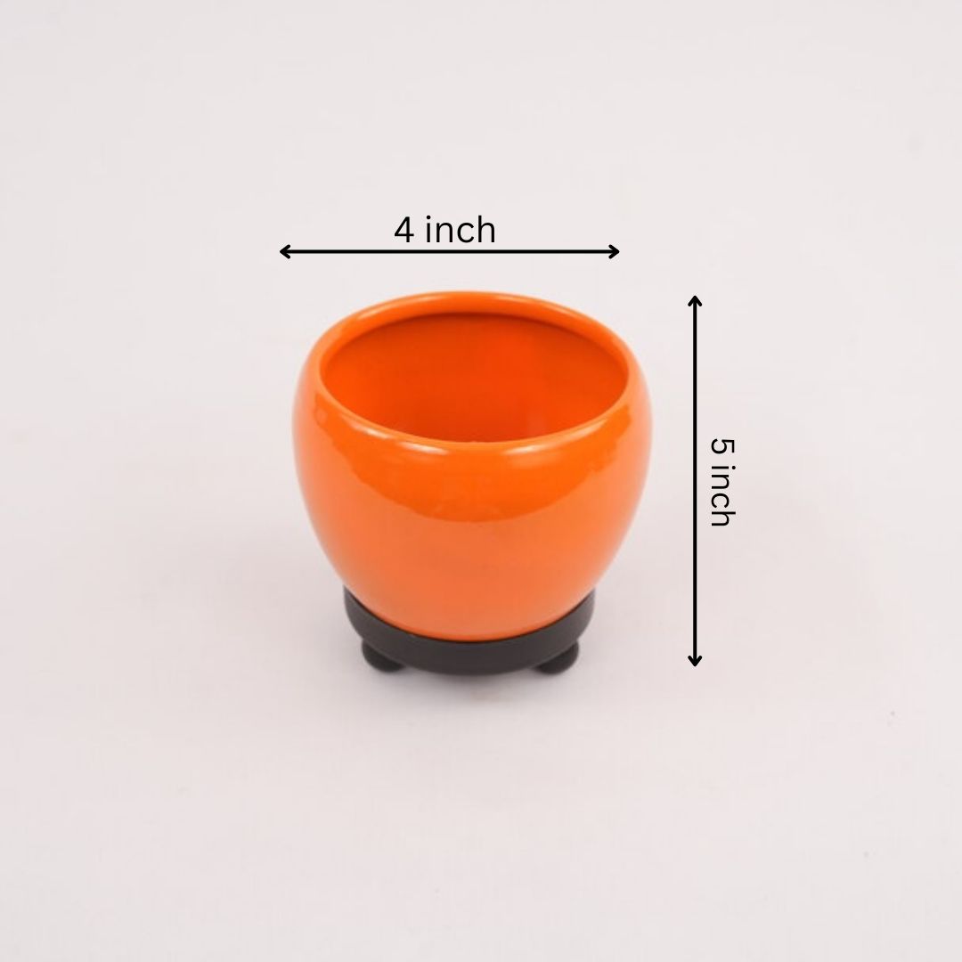 Orchid Pot with tray (Minimum 3 Piece)