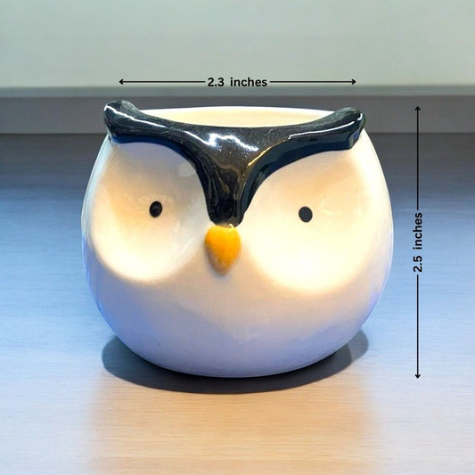 Owl Face Shape Ceramic Planter