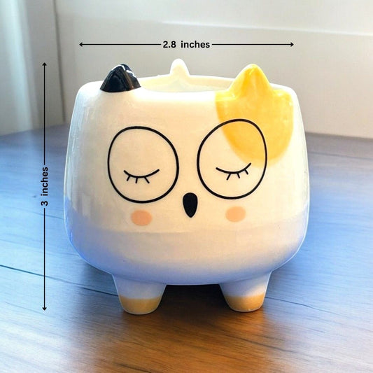 Cat Face Shape Ceramic Planter with legs