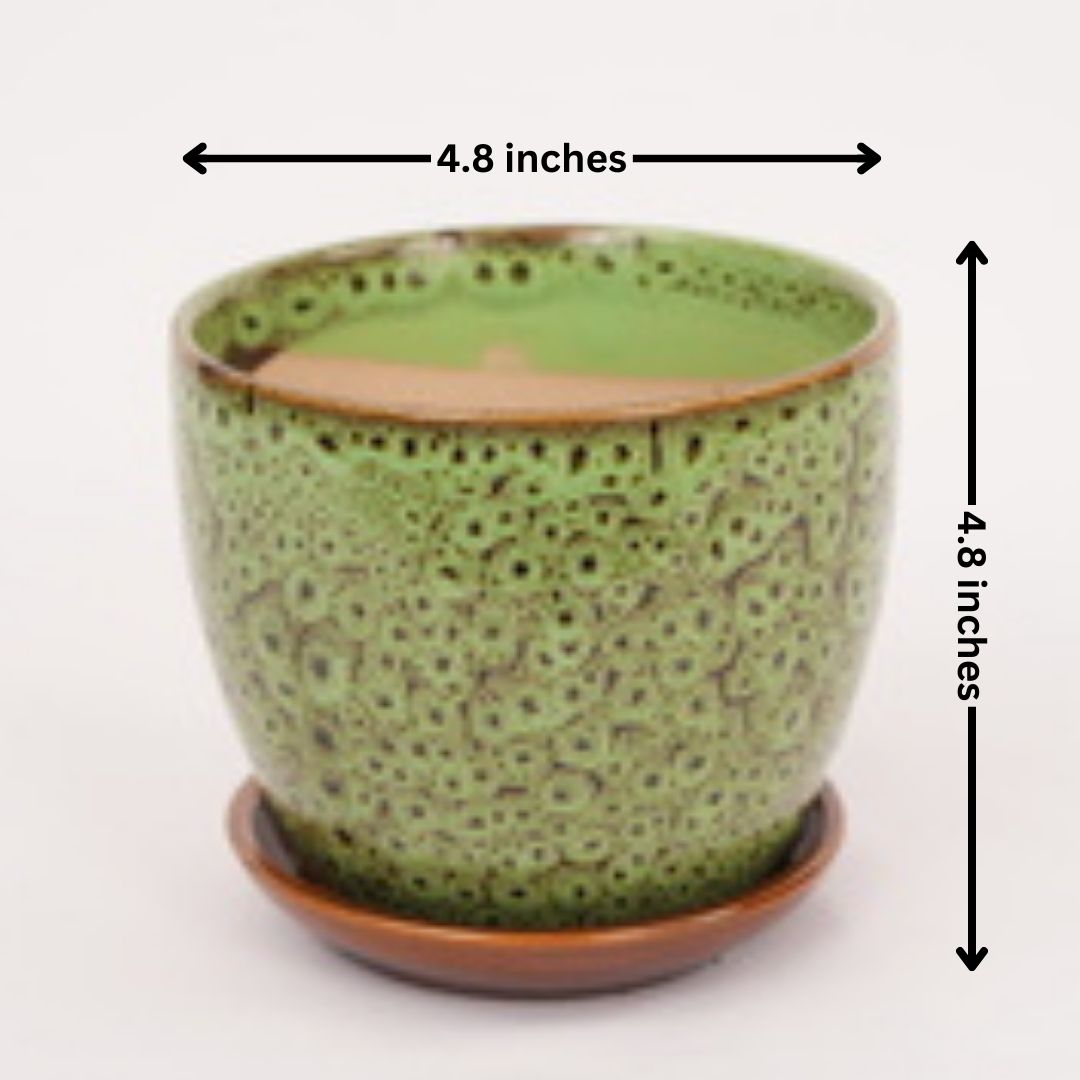 Design Pot with Tray