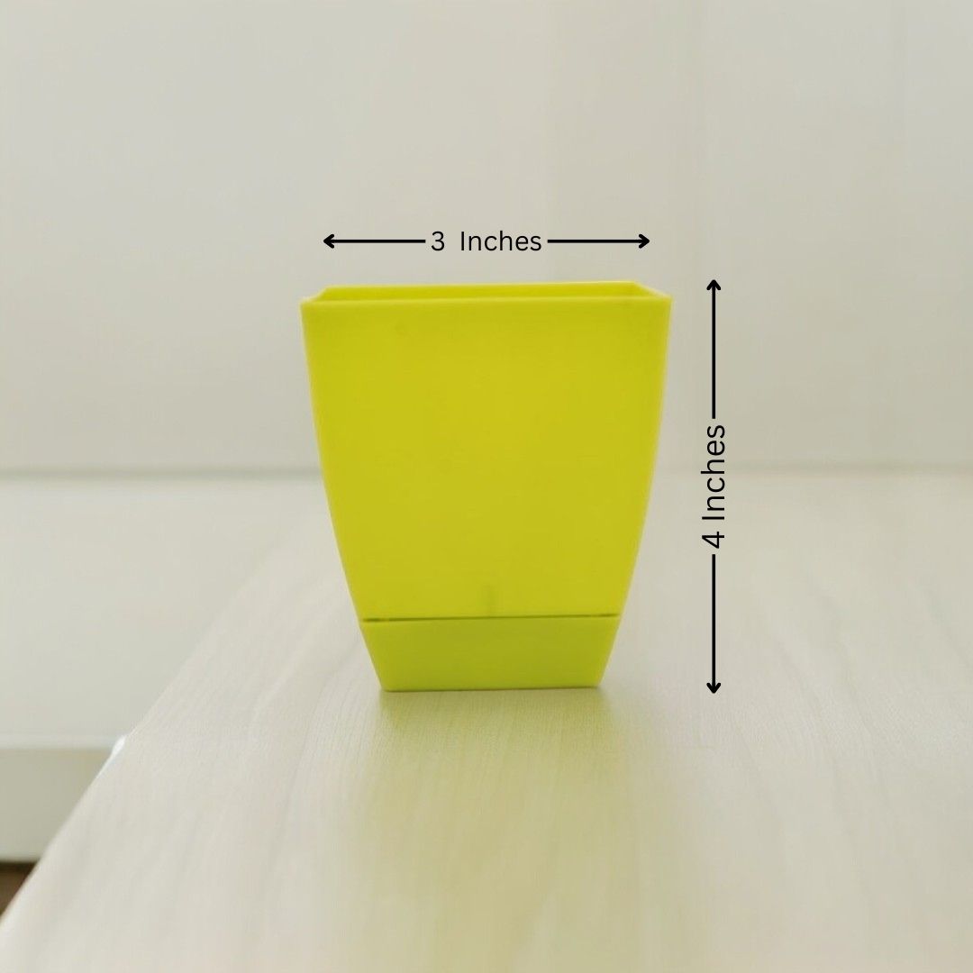 Square Shape Pot ( Plastic )