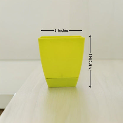 Square Shape Pot (Plastic)