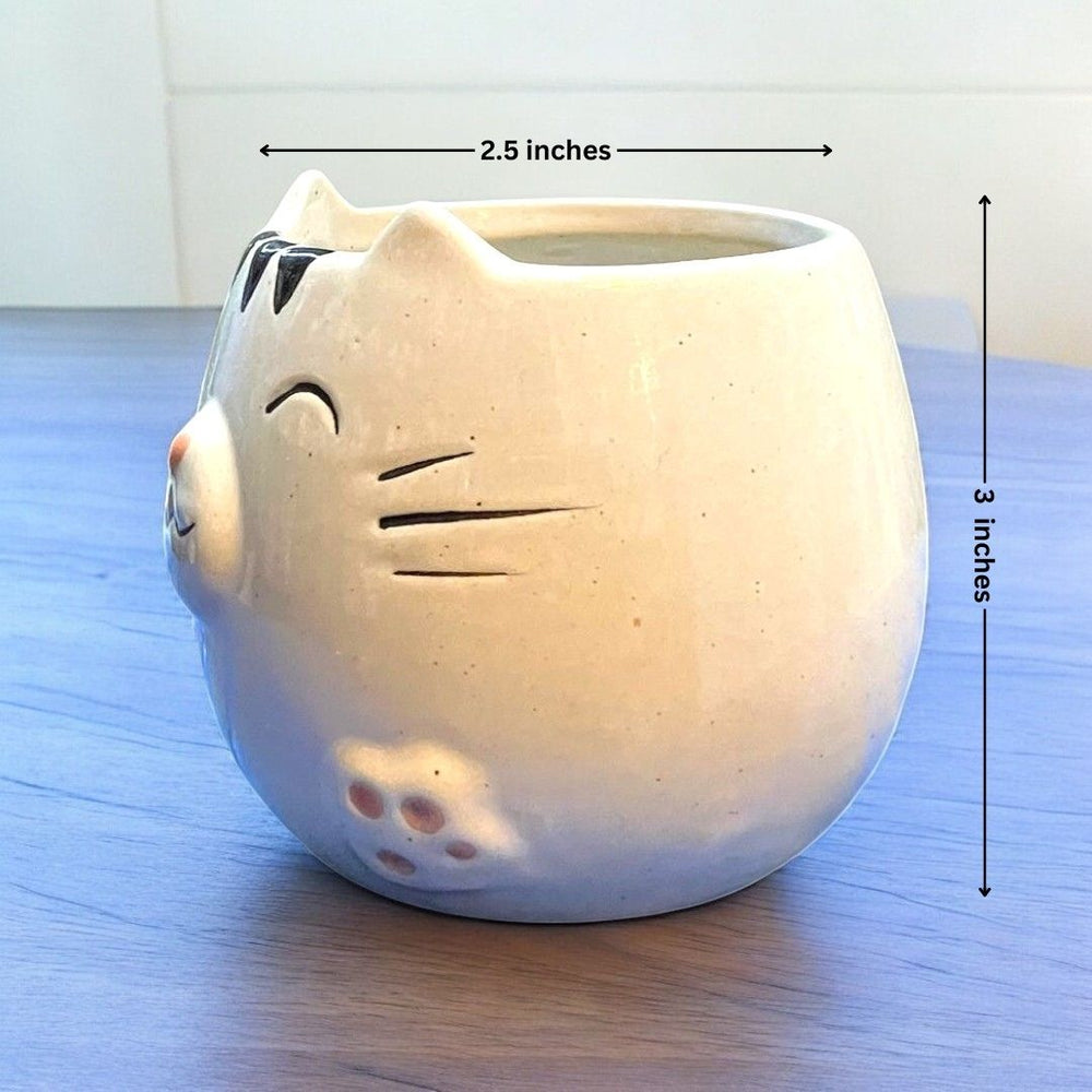 Smiling cat Face Shape Ceramic Planter