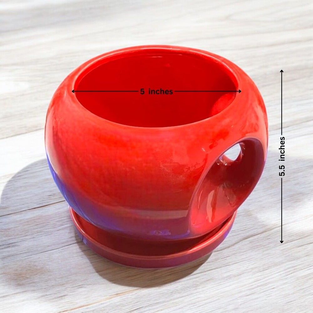 Apple pot with handle and tray