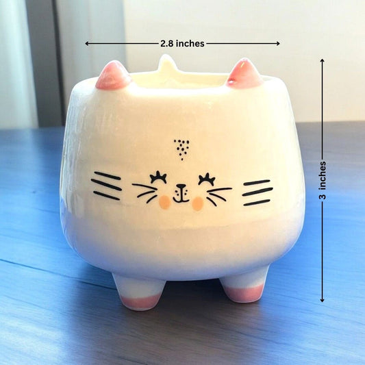 Smily Cat Face Shape Ceramic Planter with legs