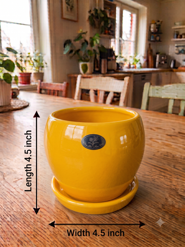 Apple Planter - Classic in Yellow