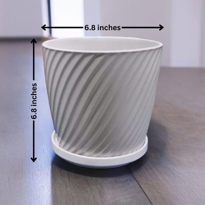 Designer Pot with Tray