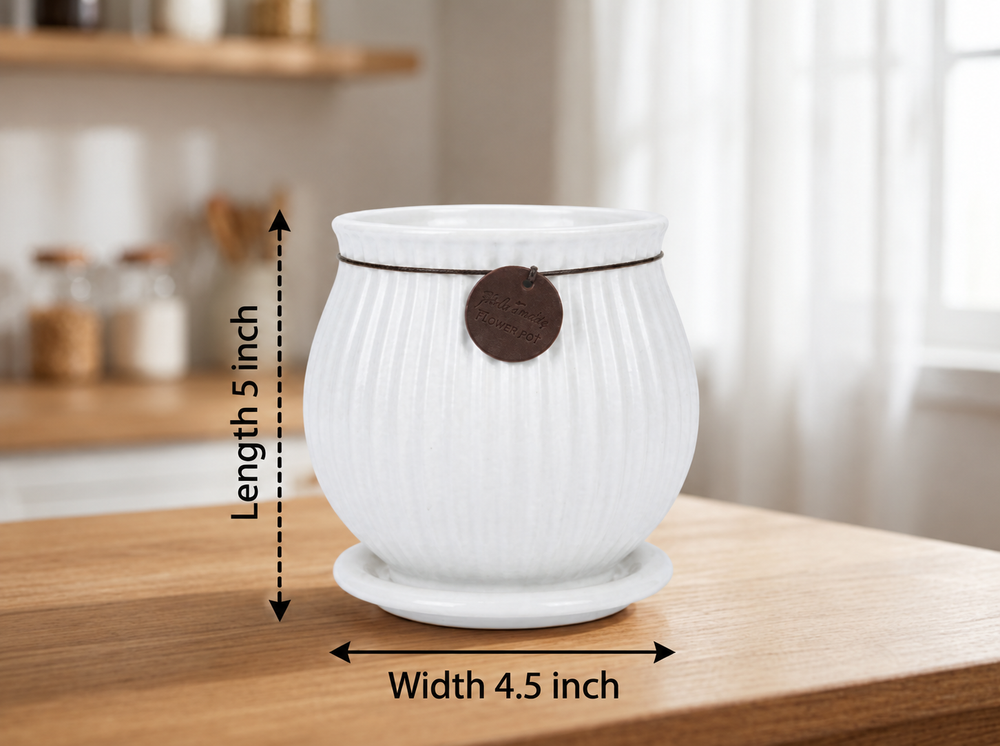 Ribbed Belly Planter - Medium in White, with matching saucer