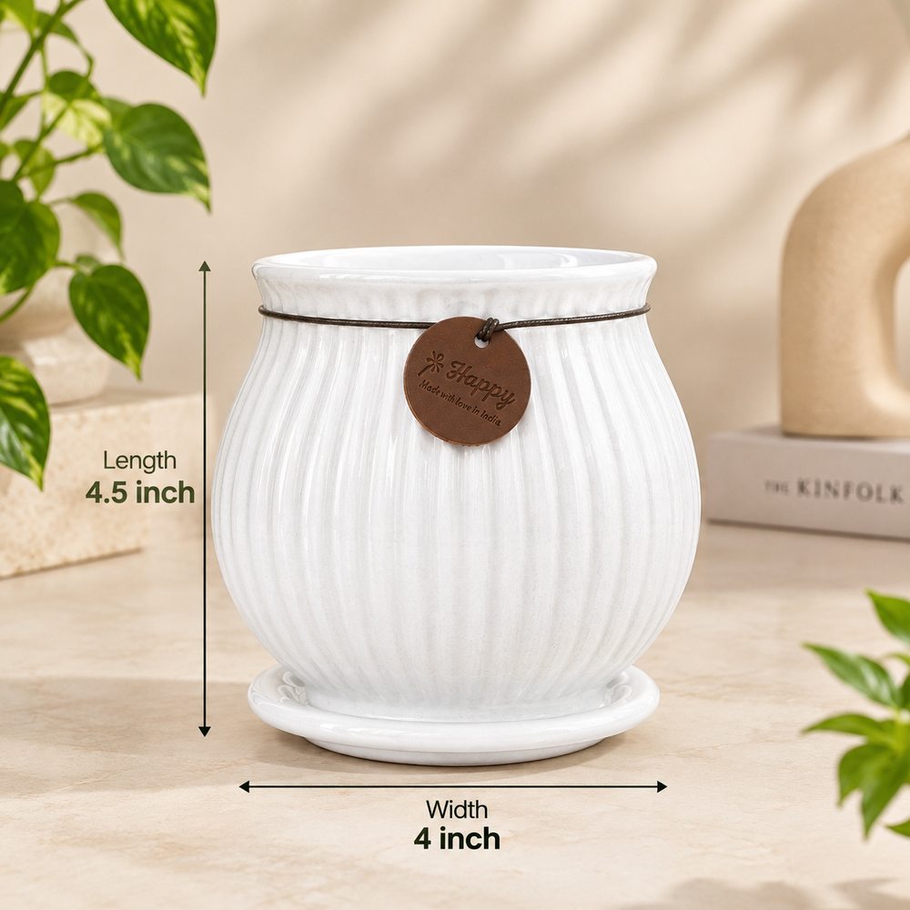 Ribbed Belly Planter - Small in White, with matching saucer