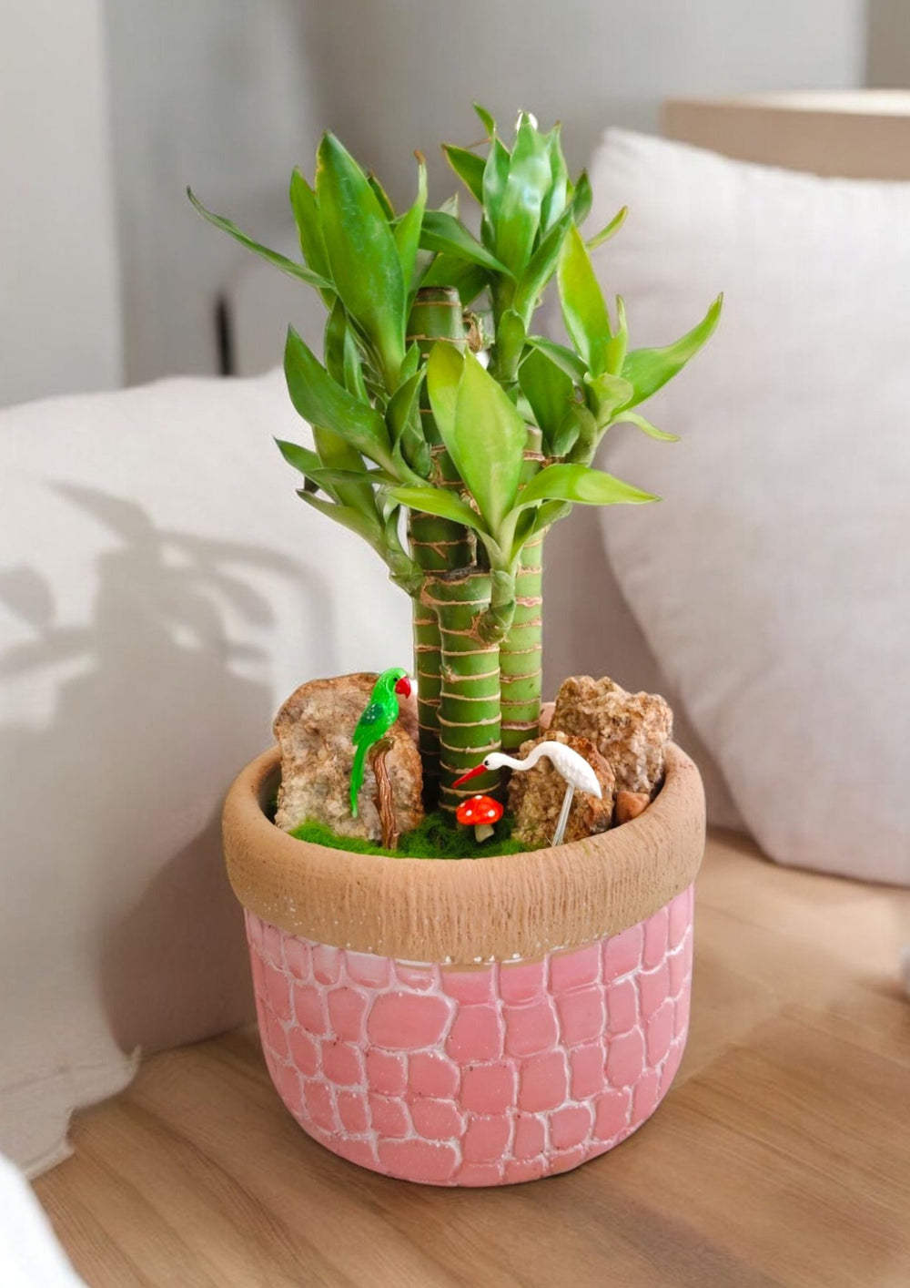 ceramic planter pots in bangalore 
