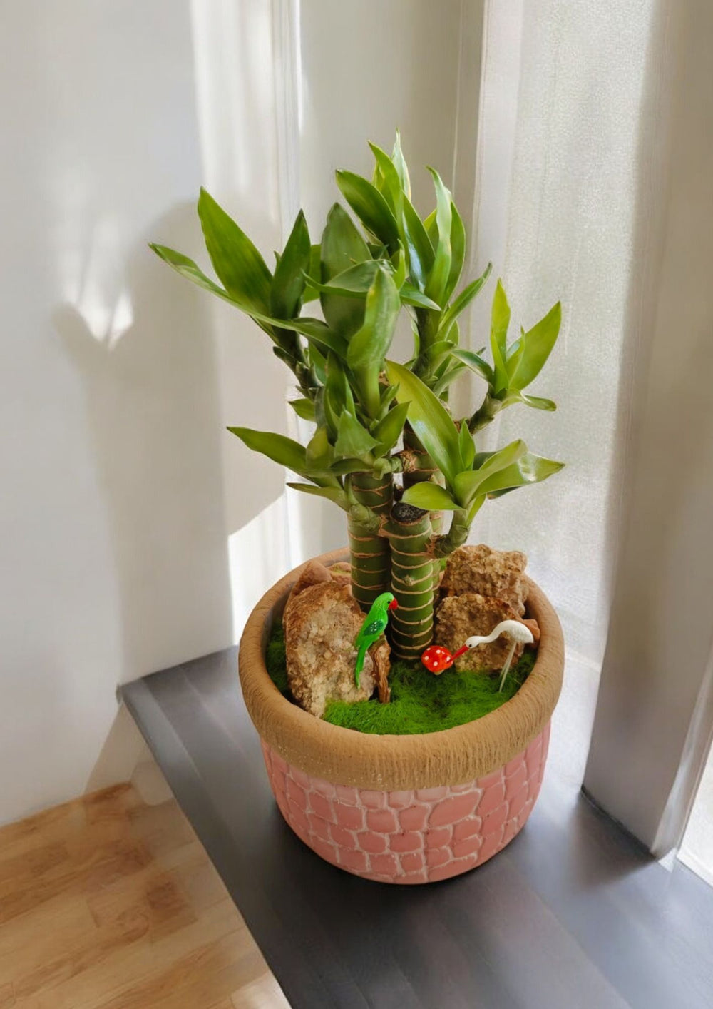 ceramic planter online In Bangalore 