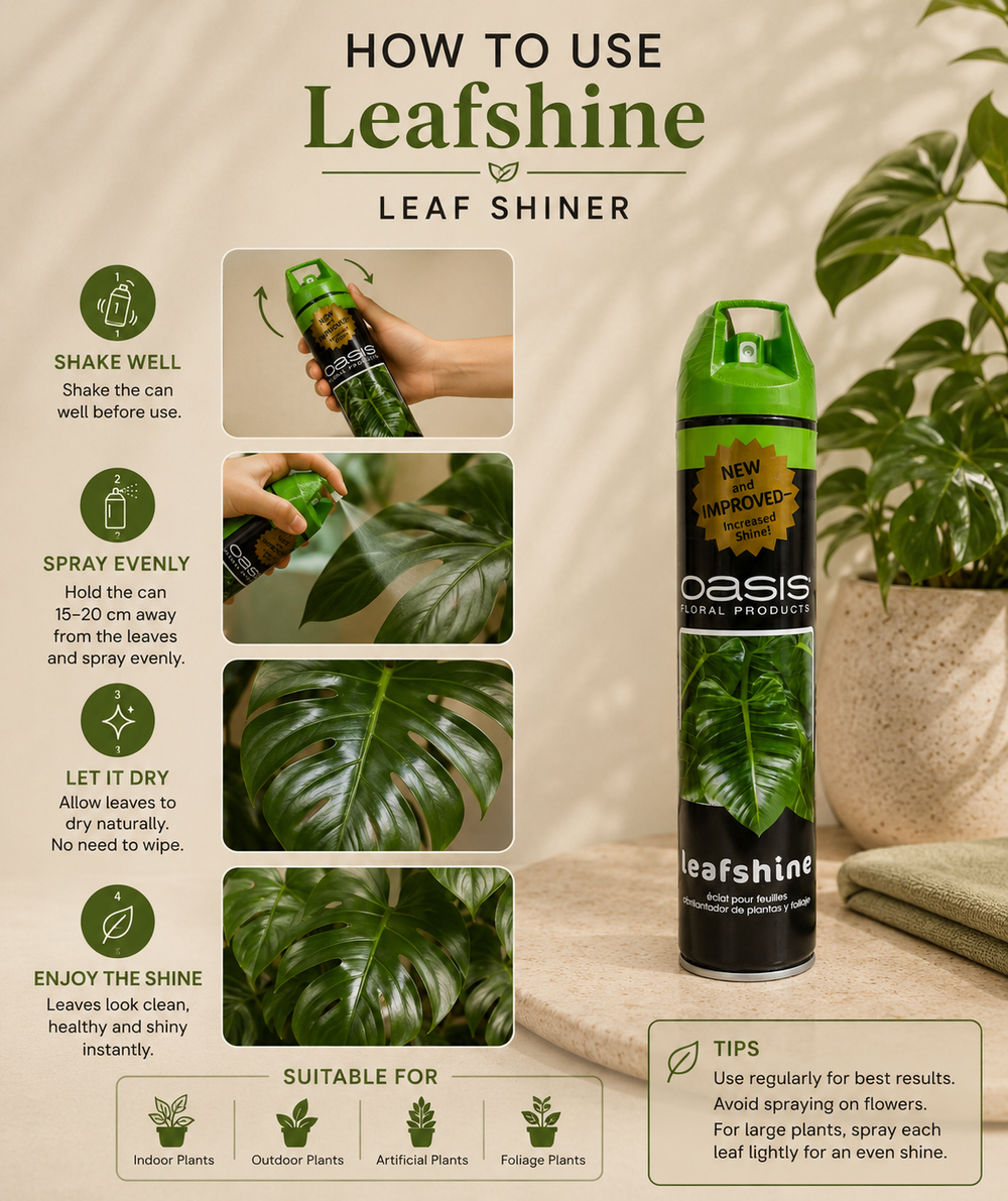 Leaf Shiner Spray