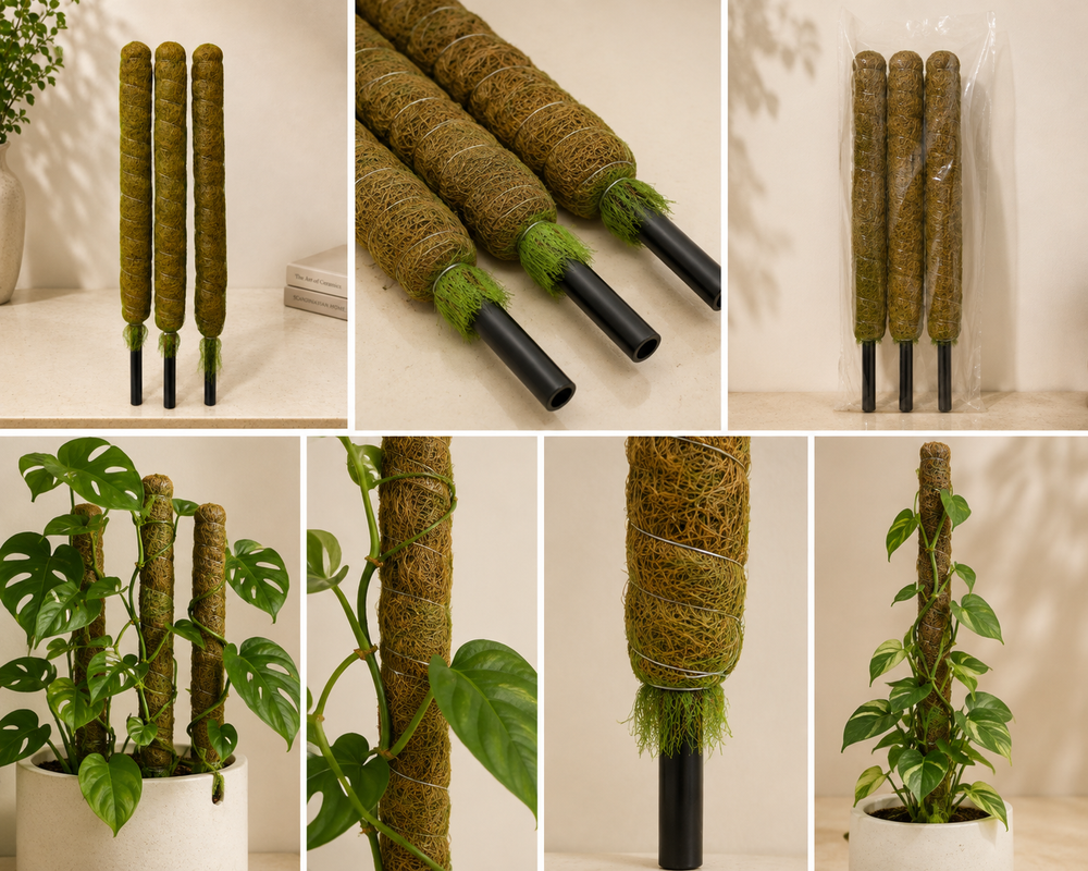 Premium Coco Coir Pole